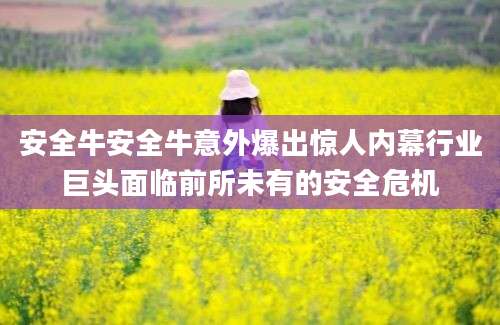 安全牛安全牛意外爆出惊人内幕行业巨头面临前所未有的安全危机
