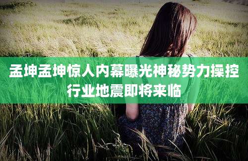 孟坤孟坤惊人内幕曝光神秘势力操控行业地震即将来临