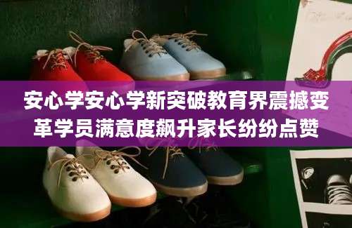 安心学安心学新突破教育界震撼变革学员满意度飙升家长纷纷点赞