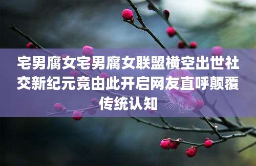 宅男腐女宅男腐女联盟横空出世社交新纪元竟由此开启网友直呼颠覆传统认知