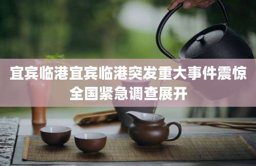 宜宾临港宜宾临港突发重大事件震惊全国紧急调查展开