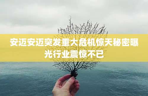 安迈安迈突发重大危机惊天秘密曝光行业震惊不已