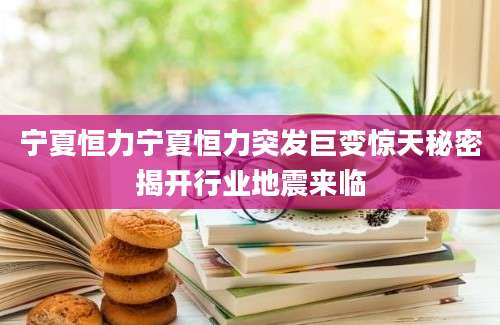 宁夏恒力宁夏恒力突发巨变惊天秘密揭开行业地震来临